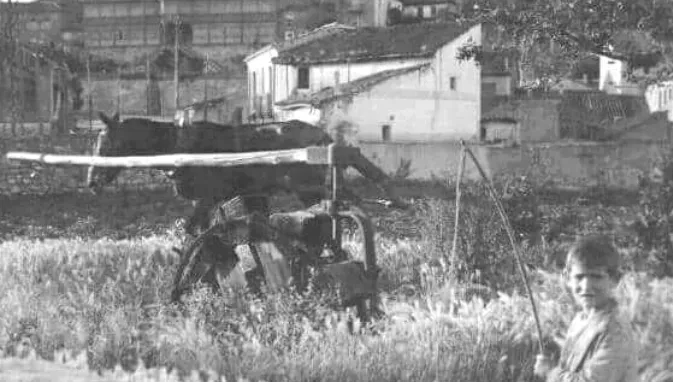 La noria de tiro o de sangre frente a la Casa Lis