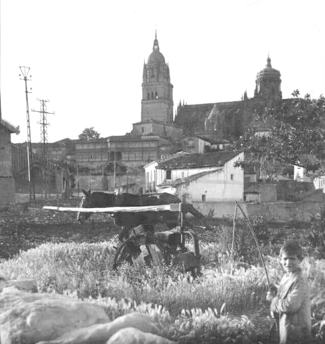 Foto 2 - La noria de tiro o de sangre frente a la Casa Lis