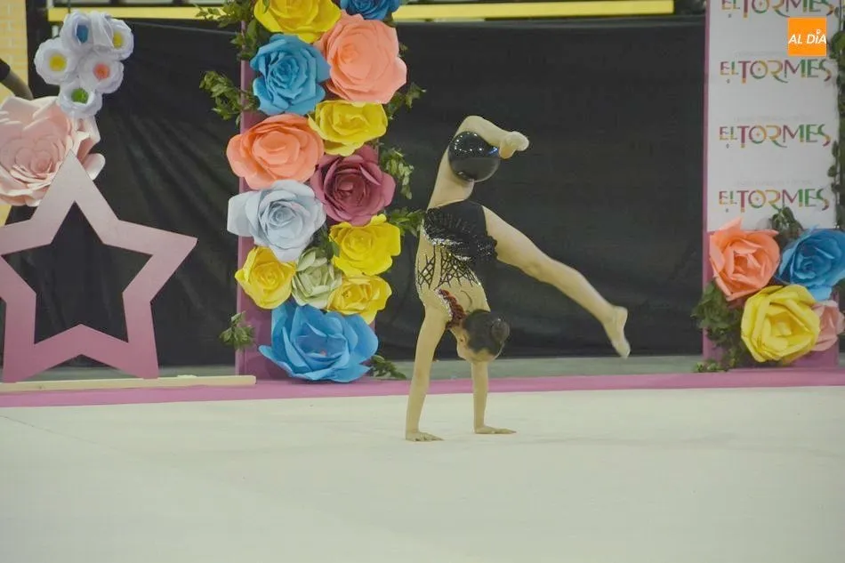 Foto 10 - Medio millar de gimnastas participa en el III&nbsp;Torneo Nacional &lsquo;Ciudad de Salamanca&rsquo;&nbsp;