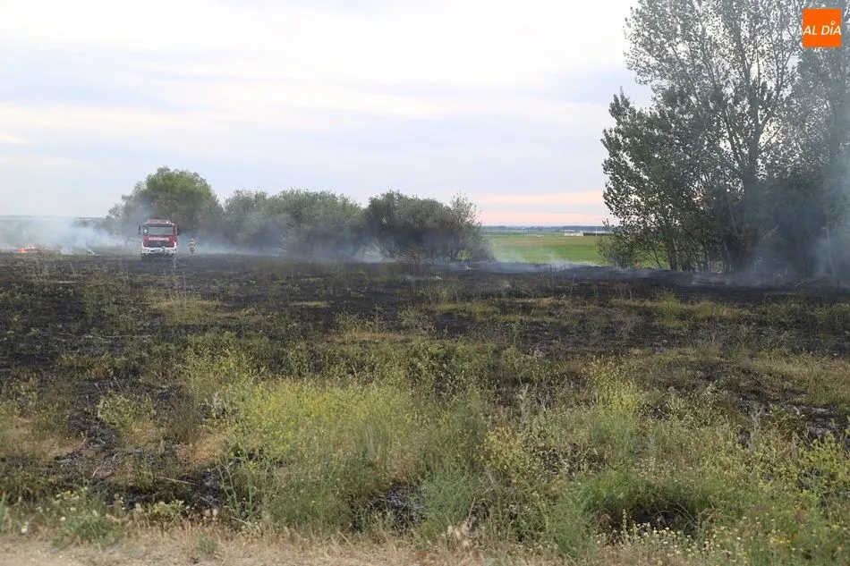 Foto 7 - Bomberos y vecinos extinguen un incendio en Cordovilla