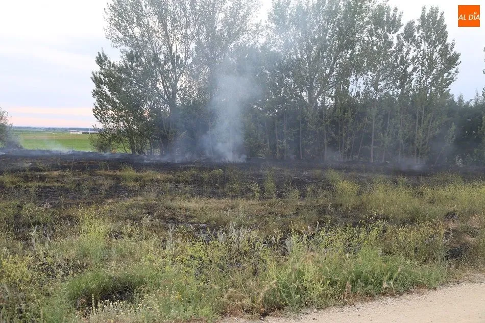 Foto 5 - Bomberos y vecinos extinguen un incendio en Cordovilla