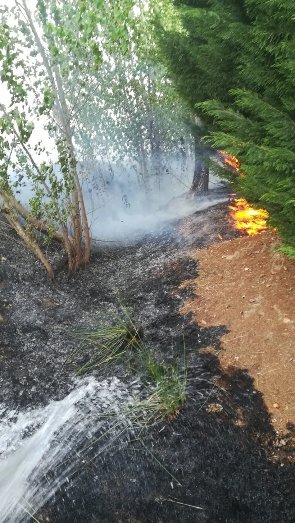 Foto 3 - Bomberos y vecinos extinguen un incendio en Cordovilla