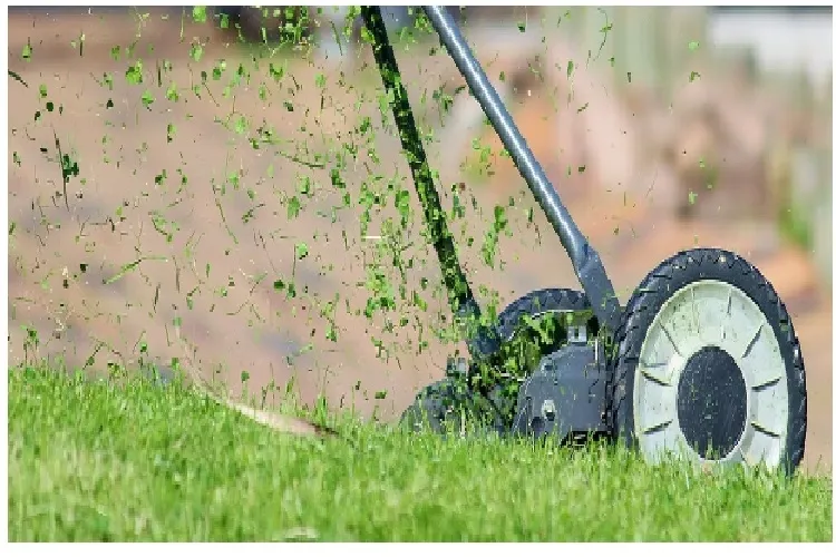 Todo lo que debes saber para elegir la mejor desbrozadora