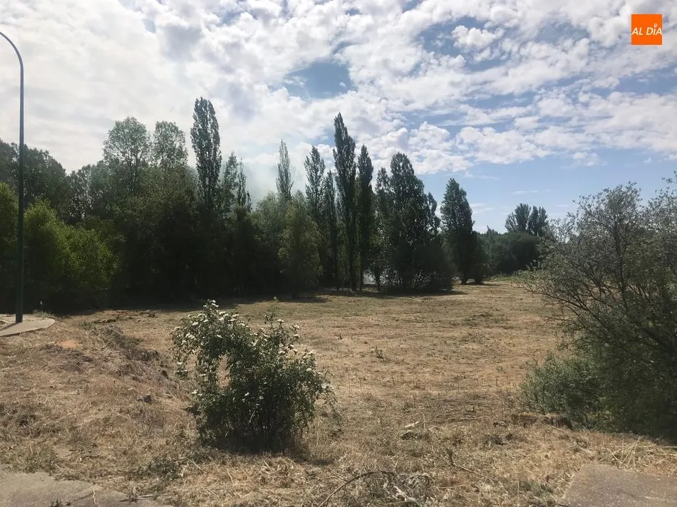 Foto 9 - La oleada de incendios azota a Villamayor en una zona pr&oacute;xima al Parque Tecnol&oacute;gico