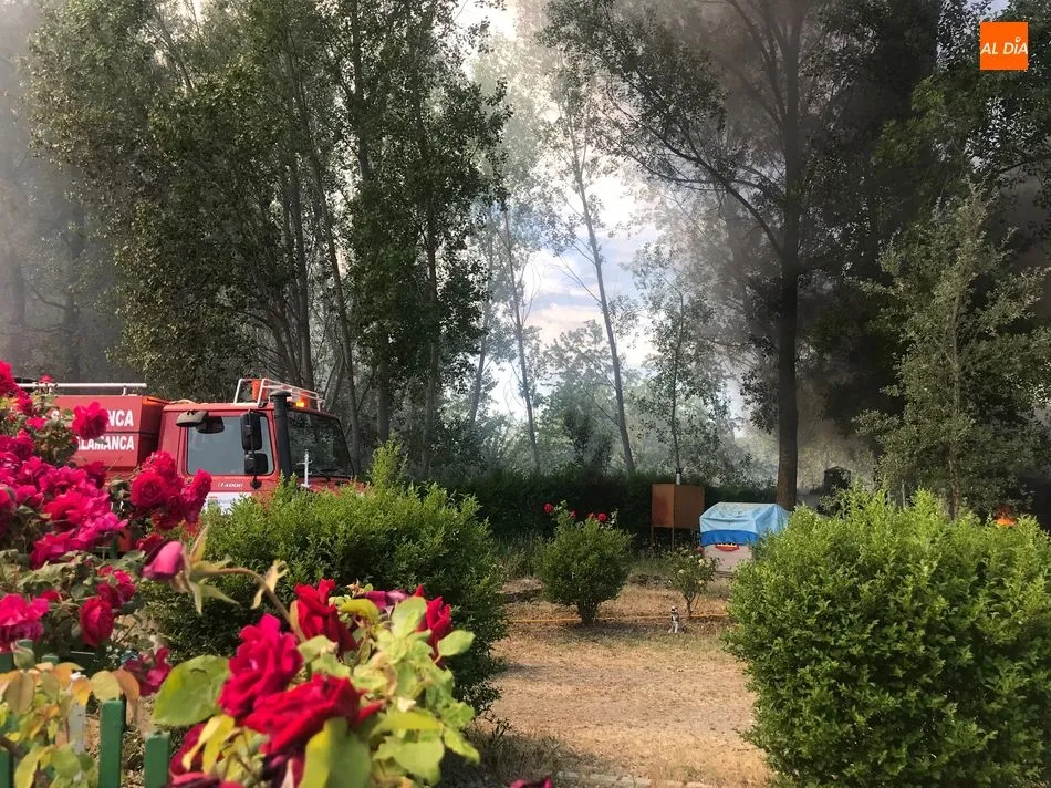 Foto 5 - La oleada de incendios azota a Villamayor en una zona pr&oacute;xima al Parque Tecnol&oacute;gico