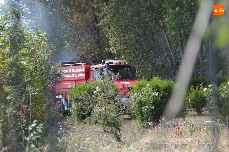 Foto 11 - La oleada de incendios azota a Villamayor en una zona pr&oacute;xima al Parque Tecnol&oacute;gico