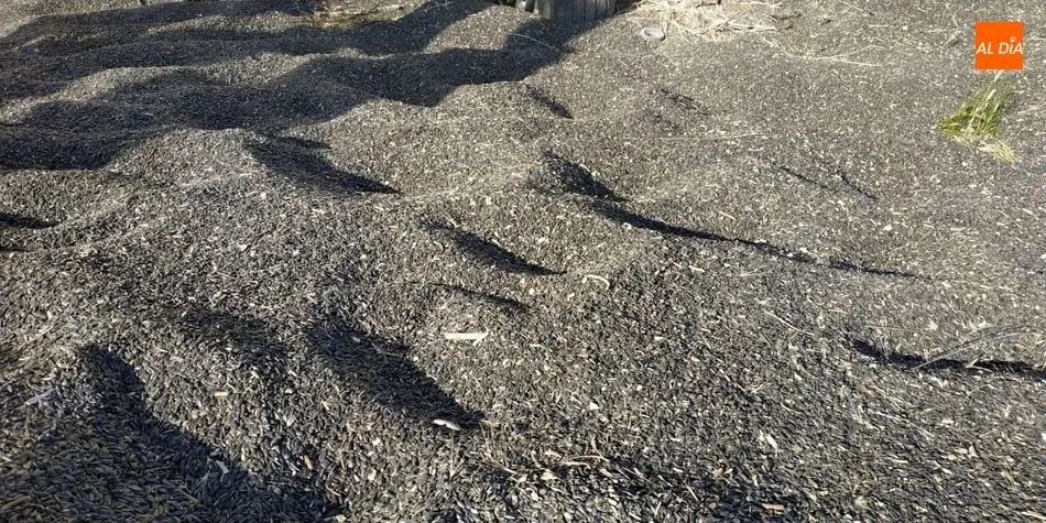 Foto 2 - Dos camiones sufren un aparatoso vuelco en la A-66 a la altura de Fresno Alh&aacute;ndiga