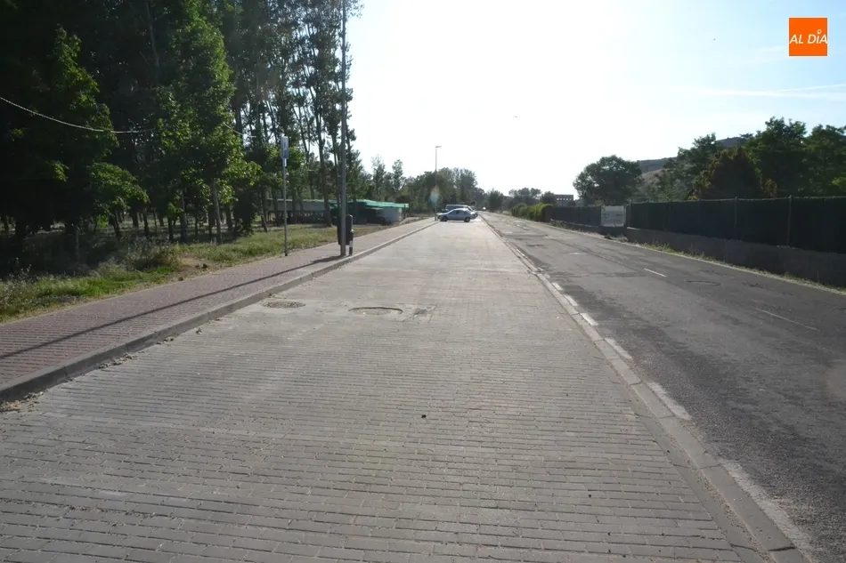 Foto 4 - Culminada la conversi&oacute;n del gran parterre de la Avenida de La Concha en plazas de aparcamiento  
