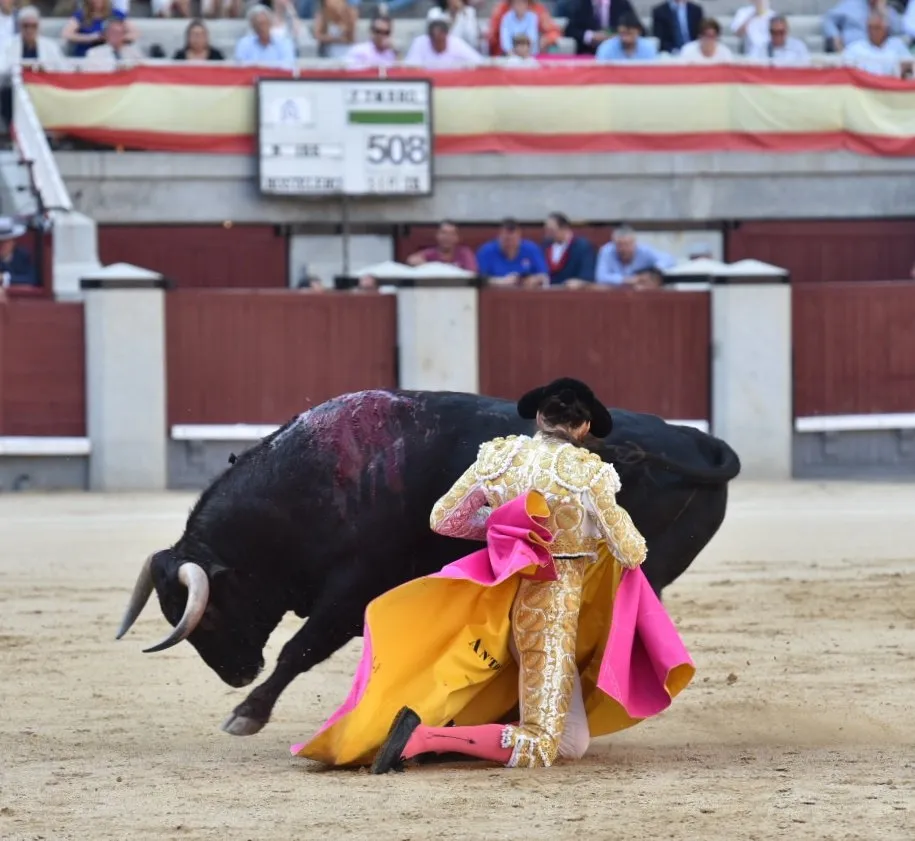 Un momento de la corrida / Luis Sánchez Olmedo
