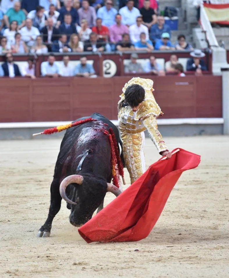 Foto 4 - Antonio Grande gusta pero no punt&uacute;a en su debut en Las Ventas