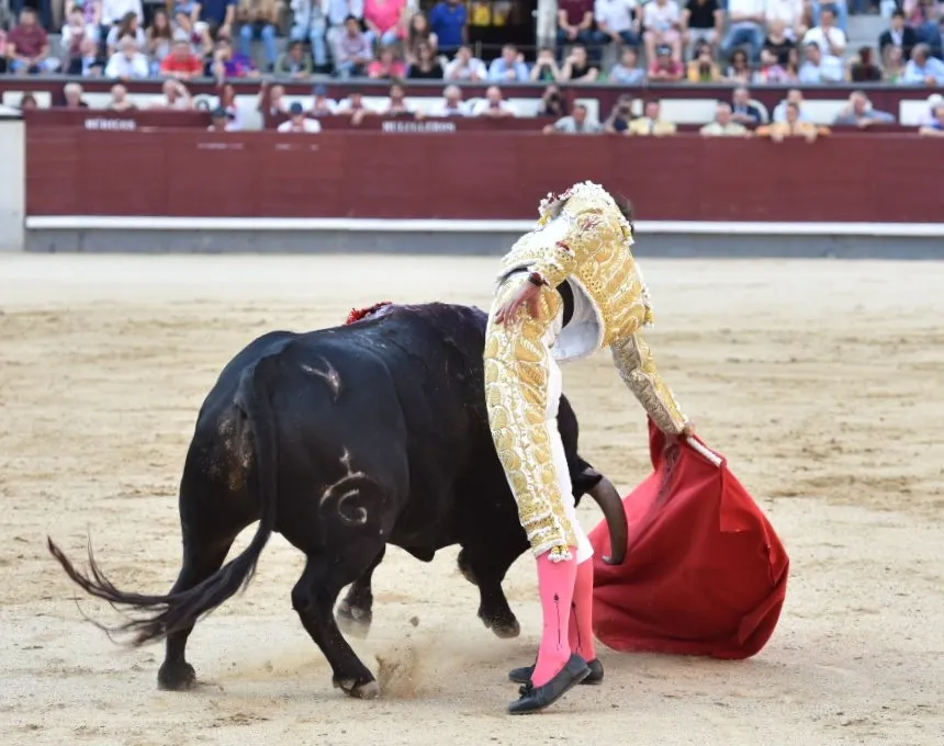Foto 3 - Antonio Grande gusta pero no punt&uacute;a en su debut en Las Ventas