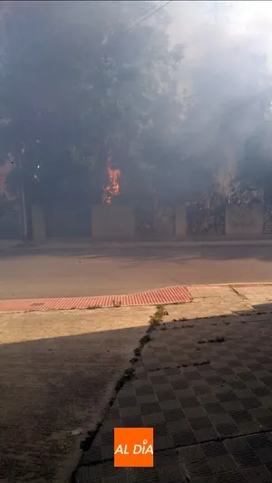Foto 6 - Un incendio calcina la parcela de la antigua f&aacute;brica de harinas originado por un posible acto...