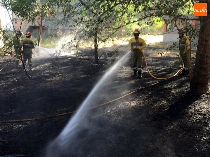 Foto 5 - Un incendio calcina la parcela de la antigua f&aacute;brica de harinas originado por un posible acto...