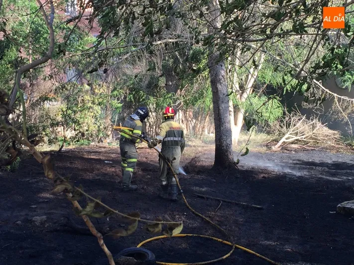 Foto 3 - Un incendio calcina la parcela de la antigua f&aacute;brica de harinas originado por un posible acto...