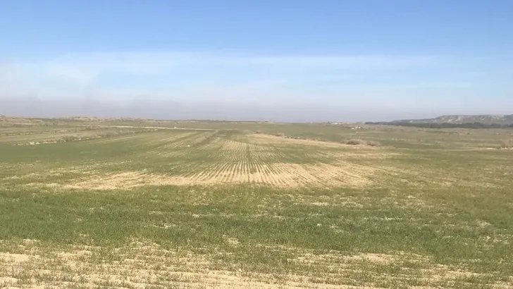 Un campo en estado de sequía / Agronews