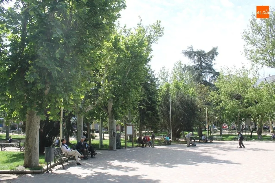 Foto 3 - El notable patrimonio verde de Salamanca