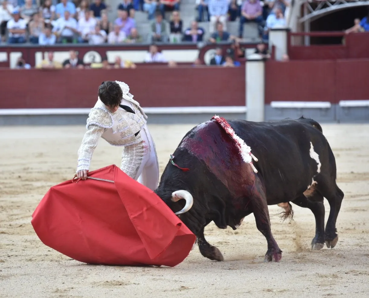 Derechazo de Juan del Álamo | Fotos: Luis Sánchez Olmedo