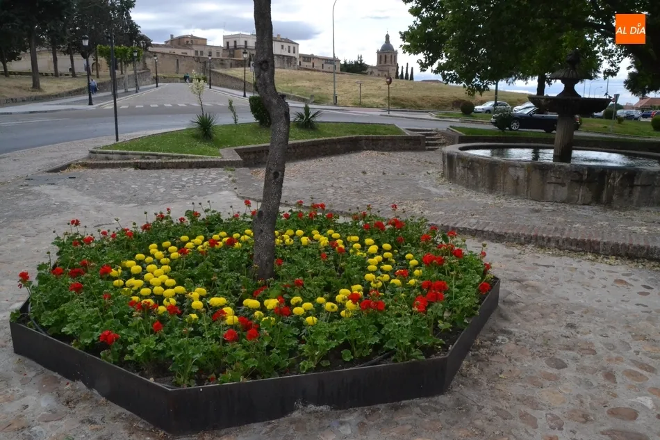 Foto 4 - Los entornos de la Encina Flaca y el Monumento al Garrochista se llenan de flores...