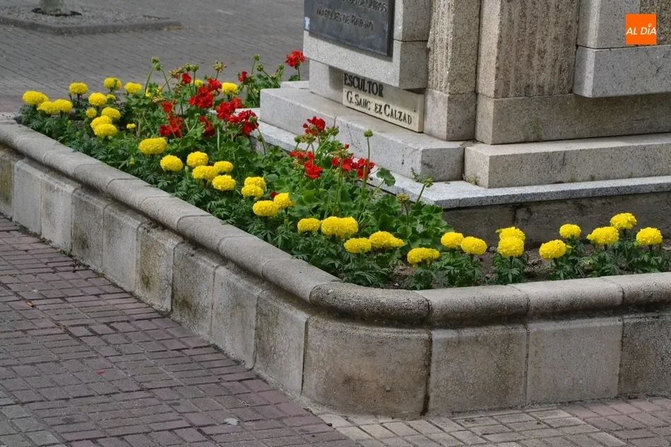 Foto 8 - Los entornos de la Encina Flaca y el Monumento al Garrochista se llenan de flores...