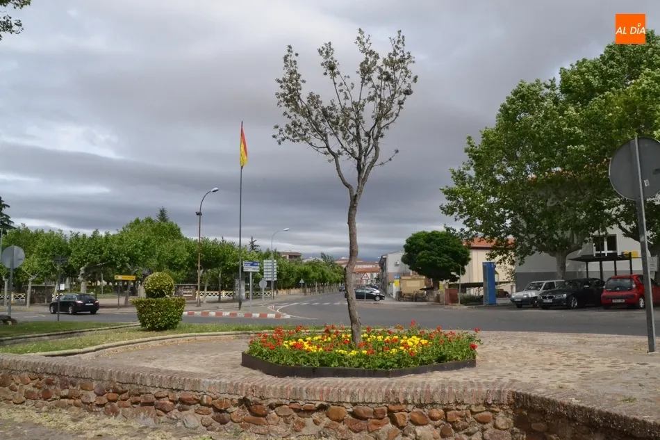 Foto 3 - Los entornos de la Encina Flaca y el Monumento al Garrochista se llenan de flores...