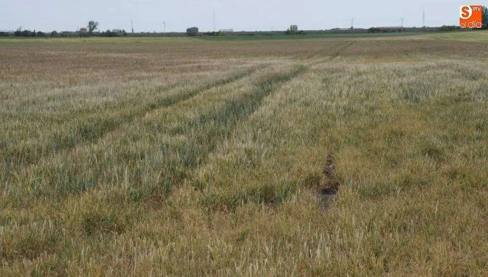 UPA insta a que no se suban de forma desproporcionada el precio de los seguros