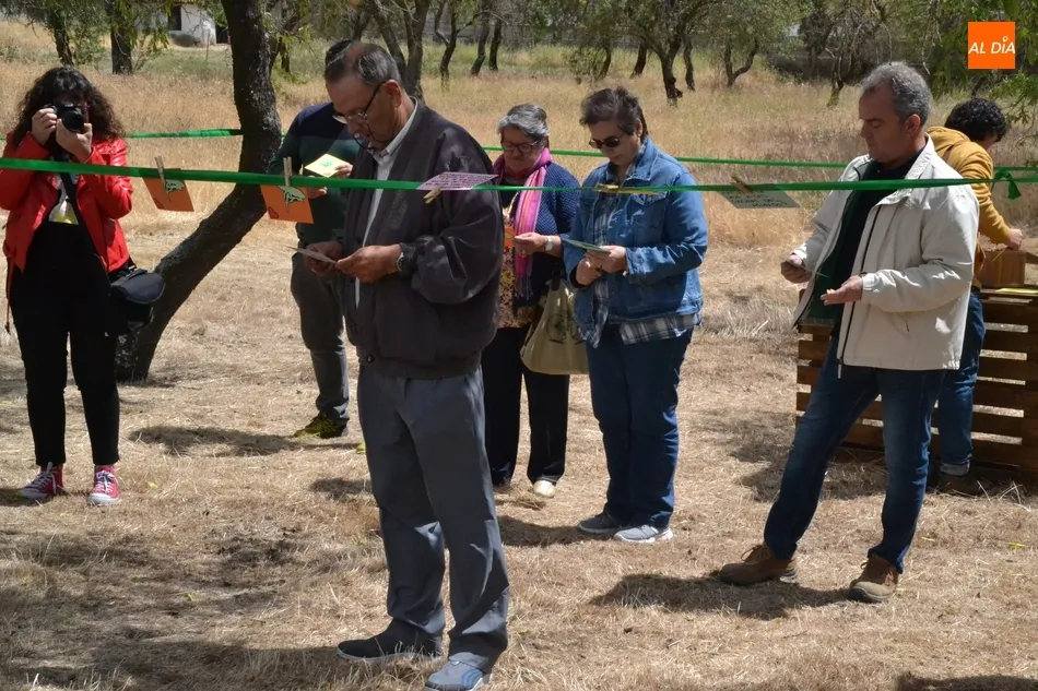 Foto 11 - C&aacute;ritas crea un &lsquo;Cintur&oacute;n Verde&rsquo; para conmemorar el D&iacute;a Mundial del Medio Ambiente  