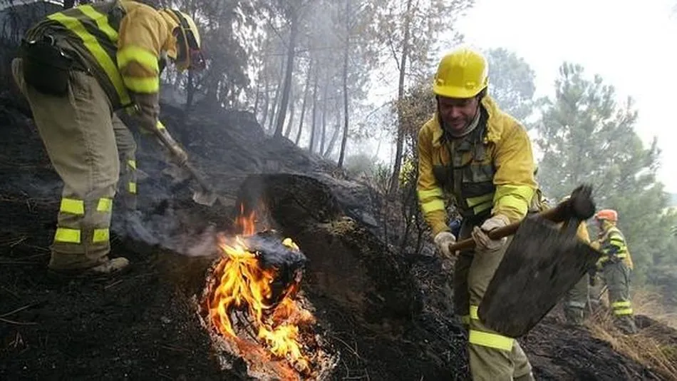 CSIF pide cambios básicos para los agentes y bomberos forestales en el Día Mundial del Medio...