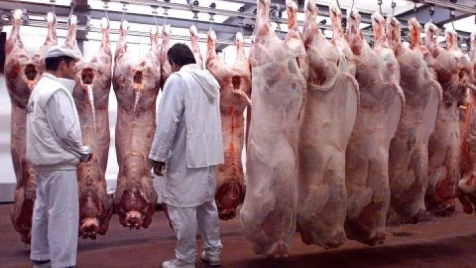 Más del 50% de sus exportaciones se dirigen aún a mercados europeos