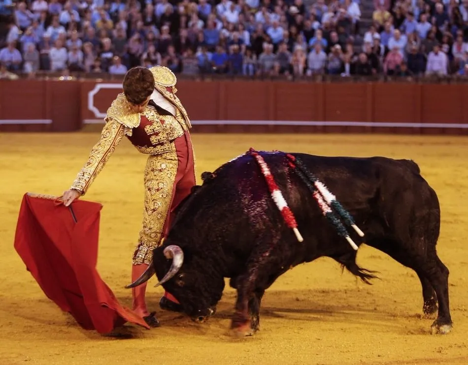 Foto 4 - Manuel Diosleguarde roza el triunfo en La Maestranza  