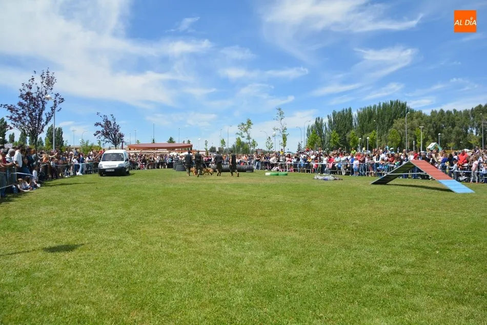 Foto 5 - Las Fuerzas Armadas acercan su labor a los salmantinos con exhibiciones y una gran exposici&oacute;n de...