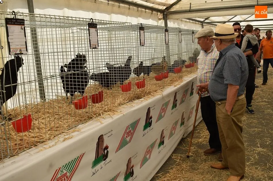 La exposición avícola cuenta con 150 aves