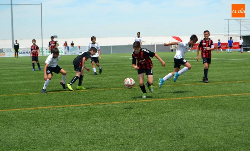 Foto 11 - El VIII Torneo F&uacute;tbol 7 &lsquo;Ciudad de Pe&ntilde;aranda&rsquo; llena de deporte y ambiente el Luis Garc&iacute;a con ...