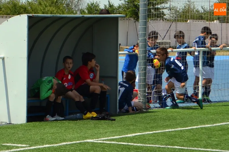 Foto 10 - El VIII Torneo F&uacute;tbol 7 &lsquo;Ciudad de Pe&ntilde;aranda&rsquo; llena de deporte y ambiente el Luis Garc&iacute;a con ...