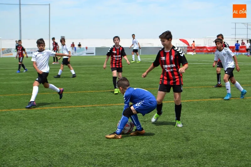 Foto 8 - El VIII Torneo F&uacute;tbol 7 &lsquo;Ciudad de Pe&ntilde;aranda&rsquo; llena de deporte y ambiente el Luis Garc&iacute;a con ...