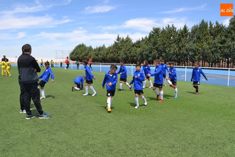 Foto 7 - El VIII Torneo F&uacute;tbol 7 &lsquo;Ciudad de Pe&ntilde;aranda&rsquo; llena de deporte y ambiente el Luis Garc&iacute;a con ...