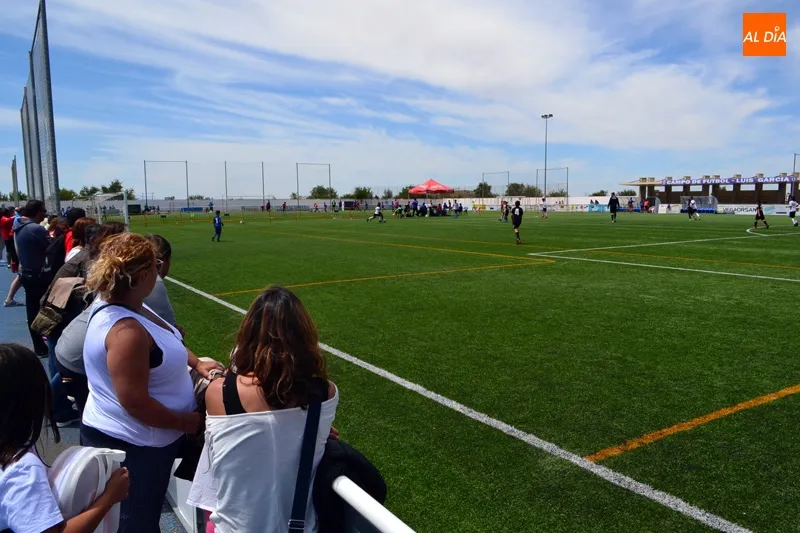 Foto 5 - El VIII Torneo F&uacute;tbol 7 &lsquo;Ciudad de Pe&ntilde;aranda&rsquo; llena de deporte y ambiente el Luis Garc&iacute;a con ...