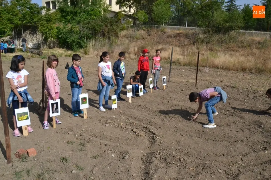 Foto 10 - Alumnos del Colegio Mir&oacute;briga se adentran en el huerto de C&aacute;ritas  