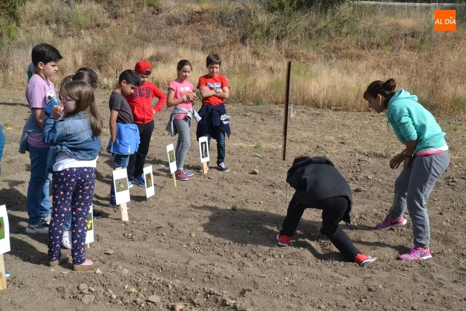 Foto 8 - Alumnos del Colegio Mir&oacute;briga se adentran en el huerto de C&aacute;ritas  