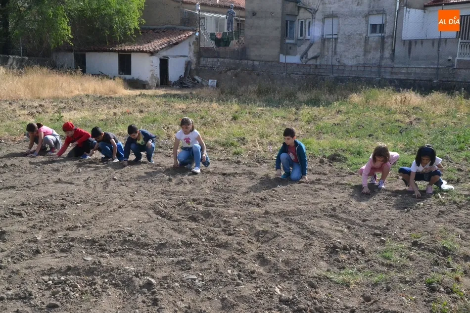 Foto 7 - Alumnos del Colegio Mir&oacute;briga se adentran en el huerto de C&aacute;ritas  