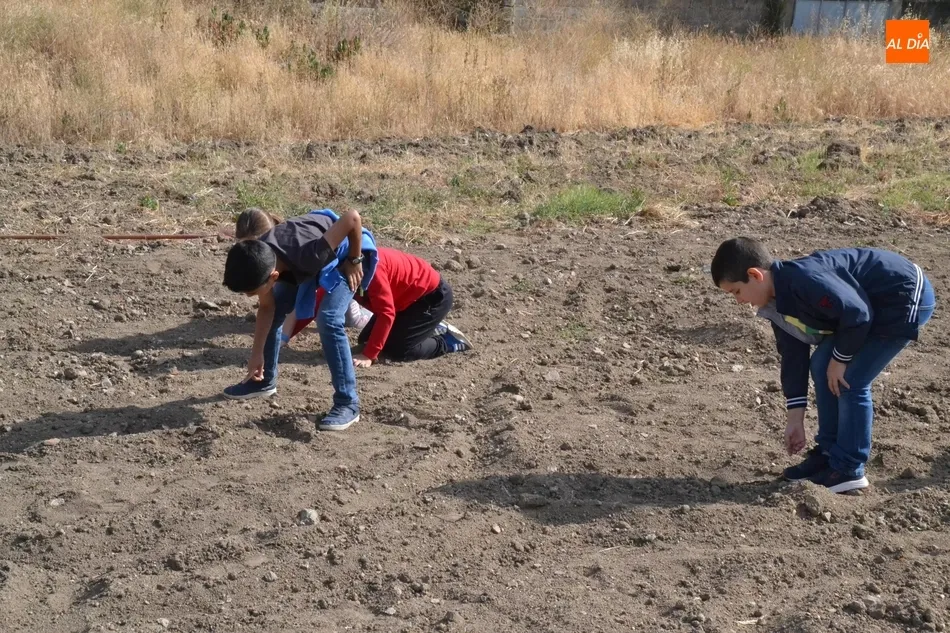 Foto 5 - Alumnos del Colegio Mir&oacute;briga se adentran en el huerto de C&aacute;ritas  