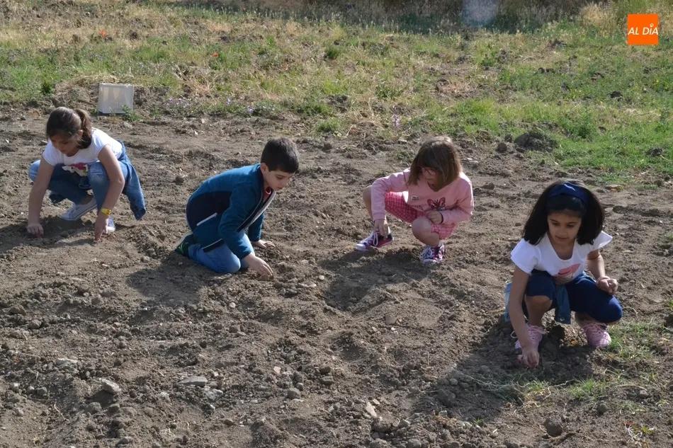 Foto 6 - Alumnos del Colegio Mir&oacute;briga se adentran en el huerto de C&aacute;ritas  