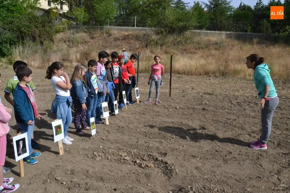 Foto 4 - Alumnos del Colegio Mir&oacute;briga se adentran en el huerto de C&aacute;ritas  