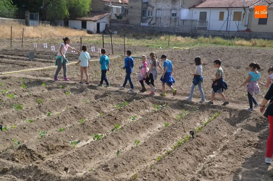 Foto 3 - Alumnos del Colegio Mir&oacute;briga se adentran en el huerto de C&aacute;ritas  