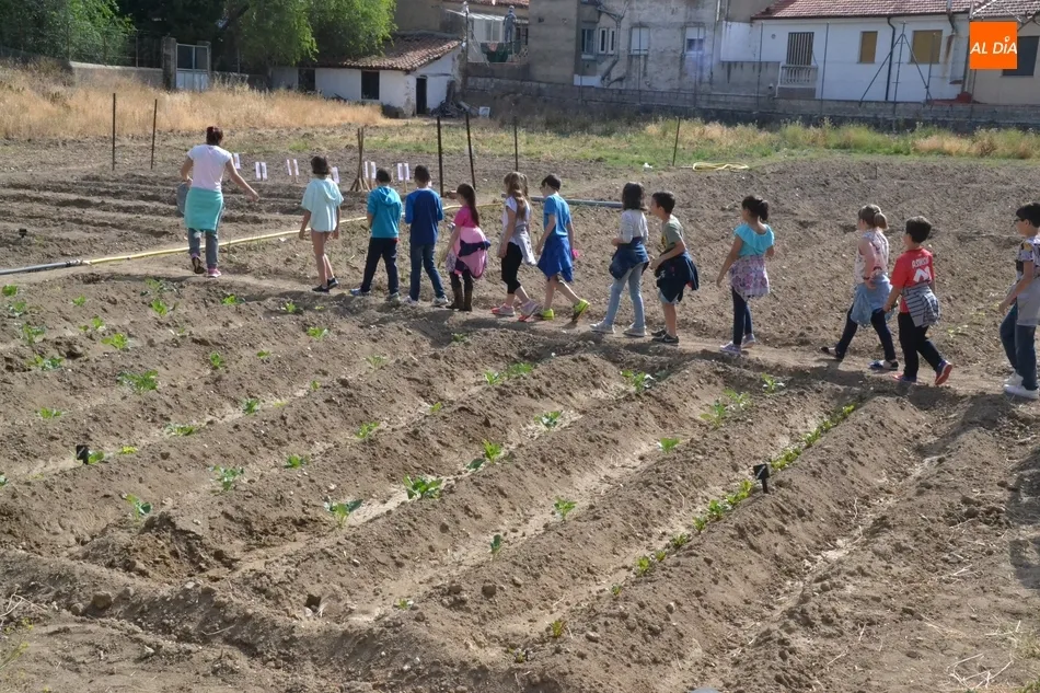Foto 2 - Alumnos del Colegio Mir&oacute;briga se adentran en el huerto de C&aacute;ritas  