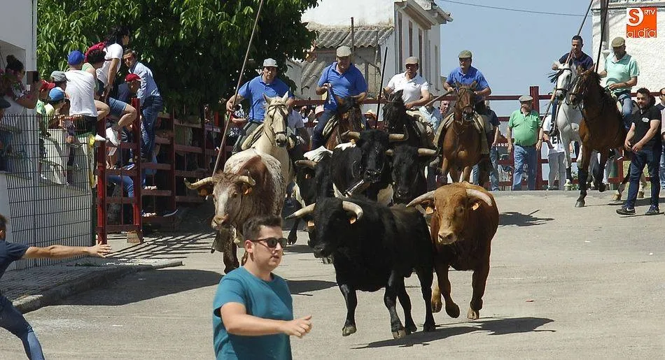 Imagen de las fiestas del año pasado | Foto Adrián Martín