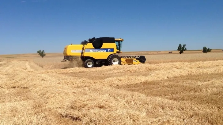 Tareas en el campo / Agronews