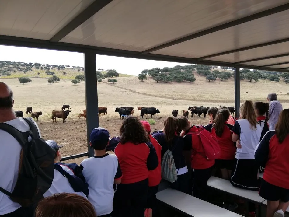 Foto 2 - Los escolares del Colegio Alfonso X el Sabio y del Colegio Padres Trinitarios visitan la finca...