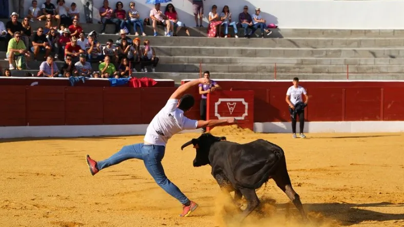 Celebración de un concurso de cortes