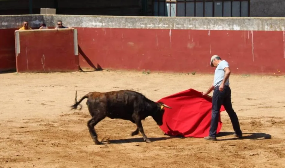 Foto 10 - Alejandro Marcos y Manuel Diosleguarde intervienen en el tentadero de la Pe&ntilde;a Jos&eacute; Ram&oacute;n Mart&iacute;n ...