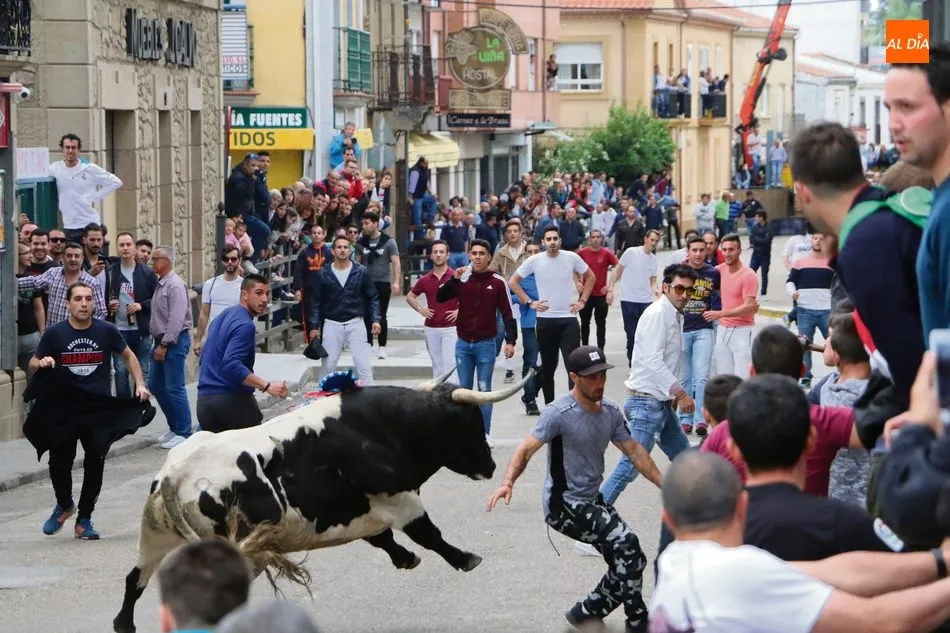 Foto 4 - Llegan &nbsp;&lsquo;los Corpus del toro&rsquo;, para vivir la fiesta en toda su expresi&oacute;n&nbsp;